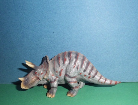 Triceratops