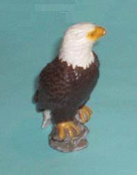 Weisskopfseeadler