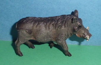 Warzenschwein