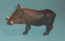 Warzenschwein