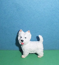 West Highland Terrier