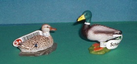 Wildente