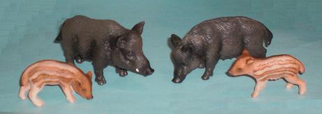 Wildschweinfamilie