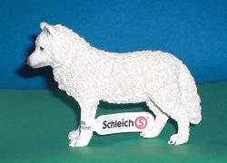 arktischer Wolf