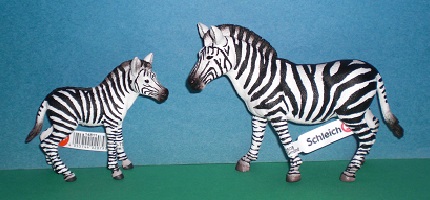 Zebrastute und Fohlen