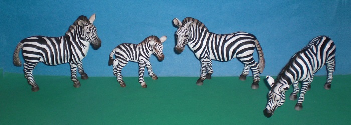 Zebrafamilie