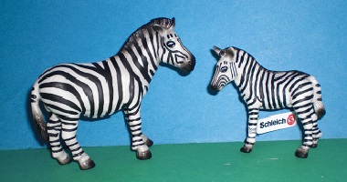Zebrastute und Fohlen 1999