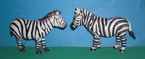 Zebra