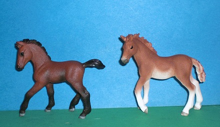 Andalusier Fohlen Sond