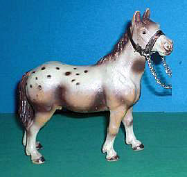 Appaloosa Hengst alt