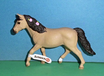 Connemaraponystute