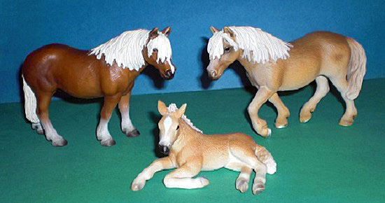 Haflingerfamilie
