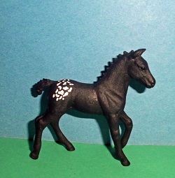 Appaloosa Apple als Fohlen