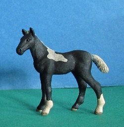 Lewitzer Fohlen