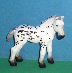 Noriker Fohlen