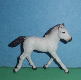 Welsh Pony Elva