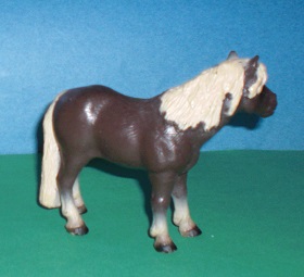 Islandpferd