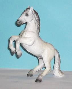 Lipizzaner Hengst