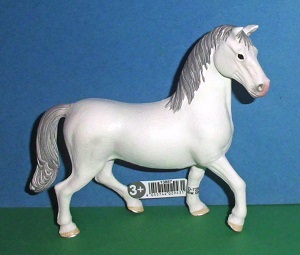Lipizzaner Hengst