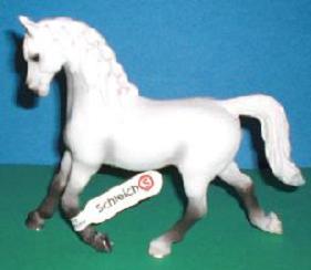 Lipizzaner Stute