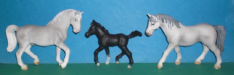 Lipizzaner Familie