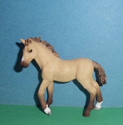 Lusitano Fohlen Sonderedition
