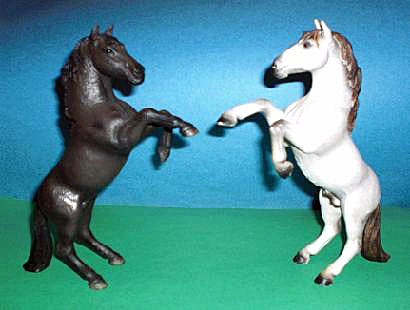 Mustang Hengste steigend