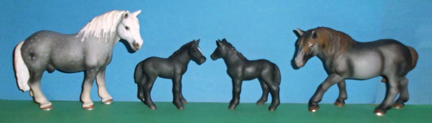 Percheron Familie