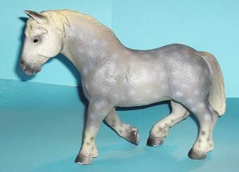 Percheron Stute