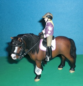 Ponyreitset