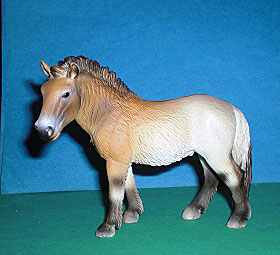 Przewalski Stute