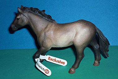 Quarter Horse Stute