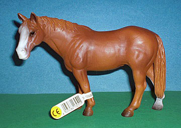 Quarter Horse Stute
