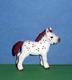 Shetland Pony Fohlen Spotty
