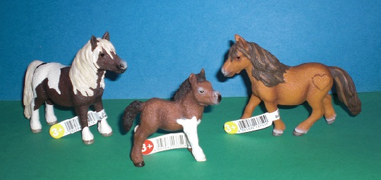 Shetland Pony Stute
