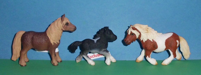 Shetland Pony Familie