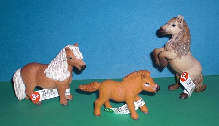 Mini-Shettys Pony Familie