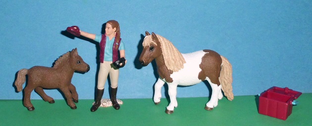 Shetland Pony Pflegeset