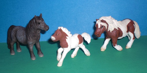 Shetland Pony Familie
