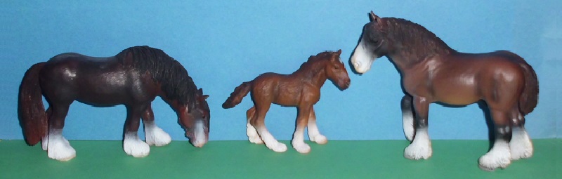 Shire Horse Familie