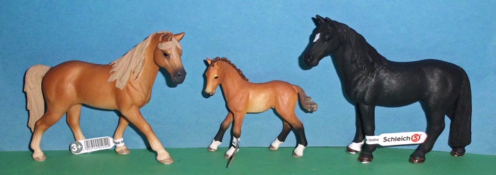 Tennessee Walker Stute Fohlen Hengst