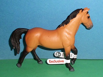 Trakehner Hengst