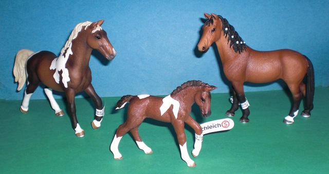 Trakehner Familie