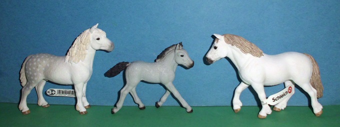 Welsh-Ponys